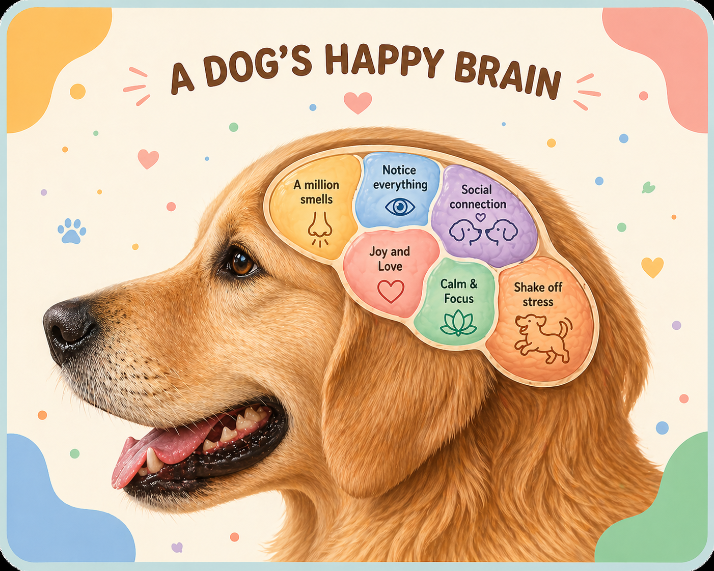 A Dog's Happy Brain diagram